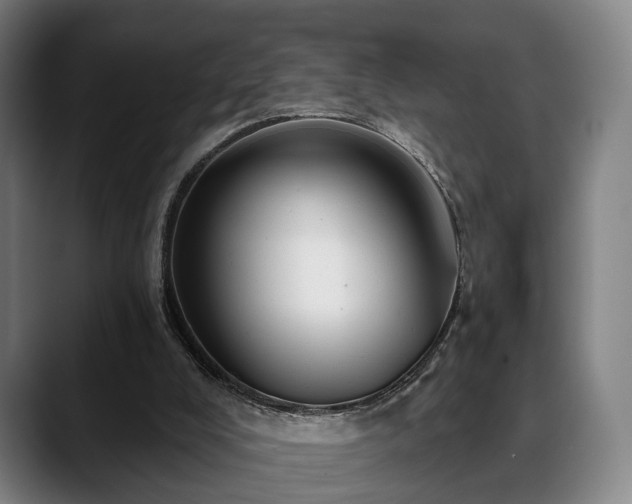 X0000088830008200706141529