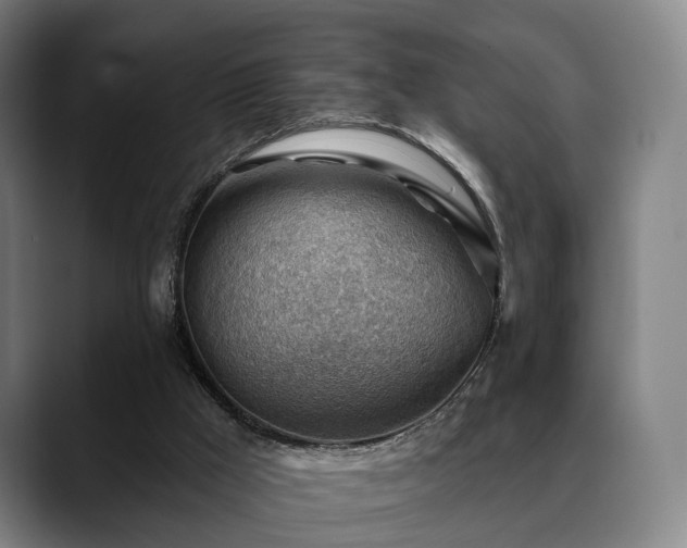 X0000088830009200706141529