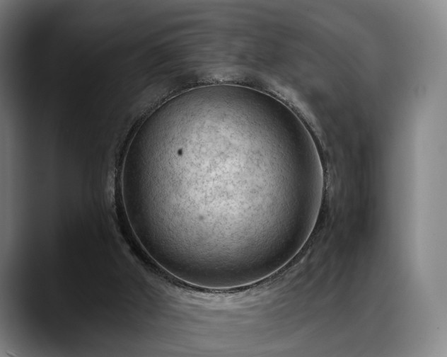 X0000088830010200706141529