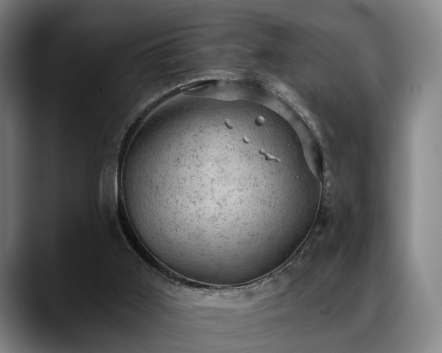 X0000088830011200706141529