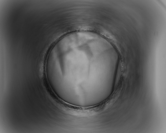 X0000088830012200706141529