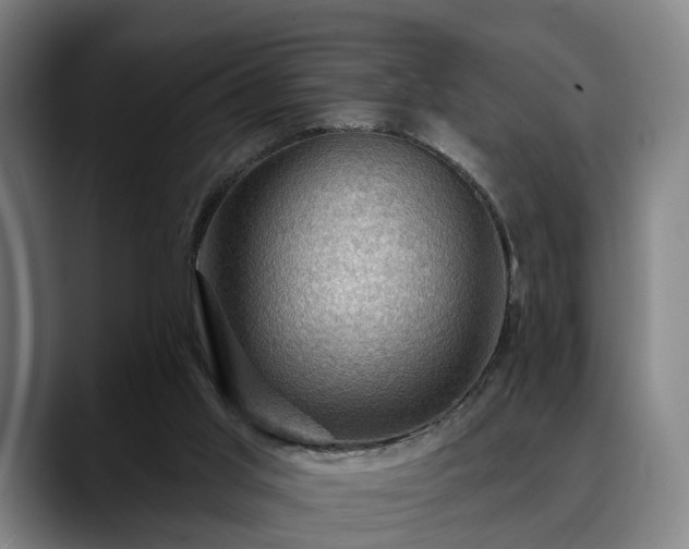 X0000088830013200706141529