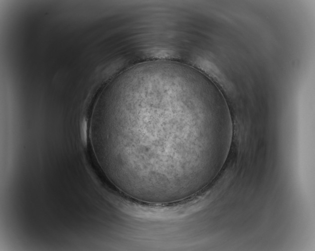 X0000088830014200706141529