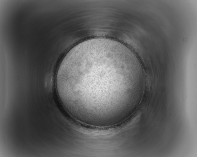 X0000088830016200706141529