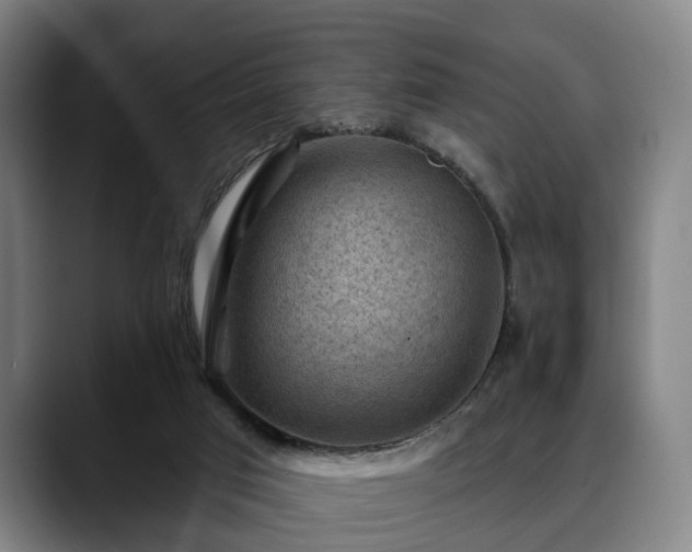 X0000088830017200706141529