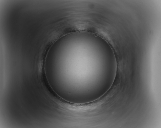 X0000088830018200706141529