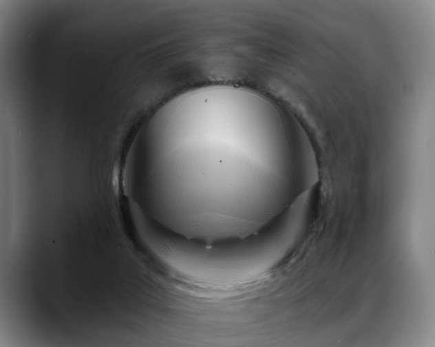 X0000088830019200706141529