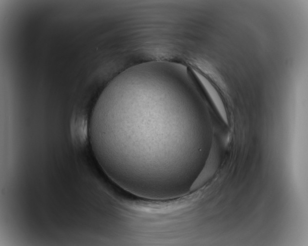 X0000088830021200706141529