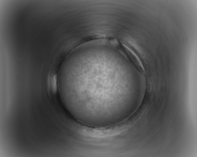 X0000088830022200706141529