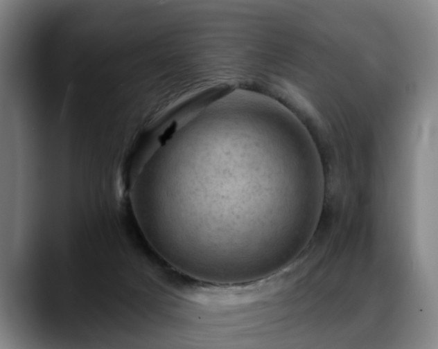 X0000088830025200706141529