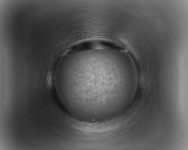 X0000088830026200706141529