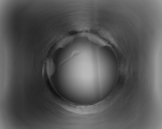 X0000088830027200706141529