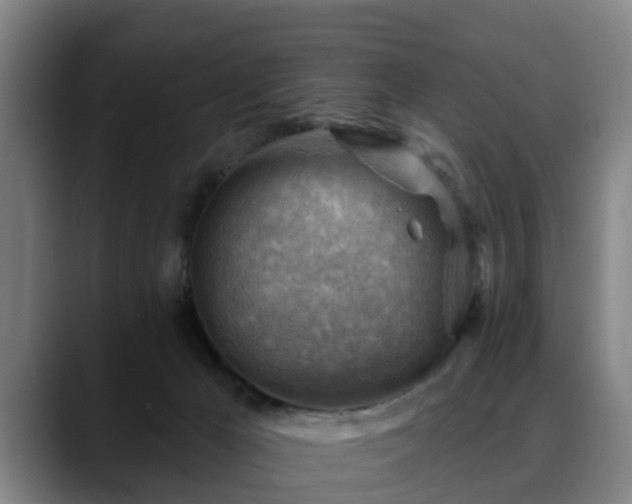 X0000088830029200706141528