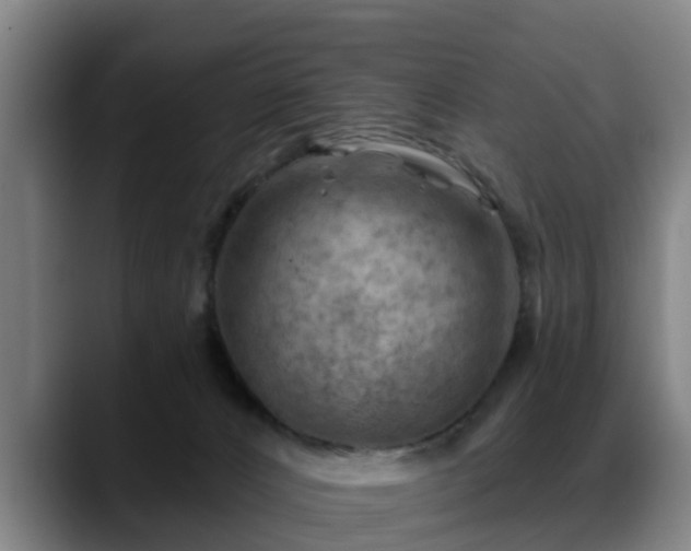 X0000088830032200706141528