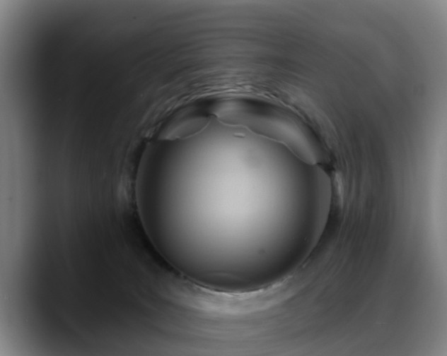 X0000088830035200706141528