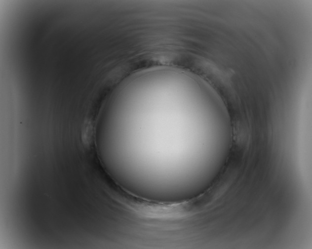 X0000088830036200706141528