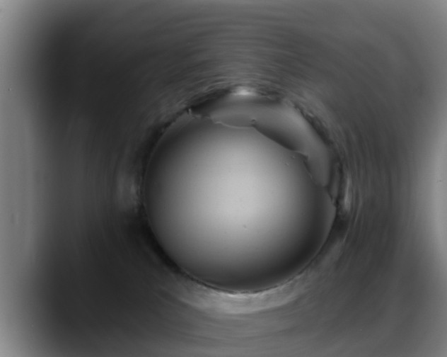 X0000088830039200706141528