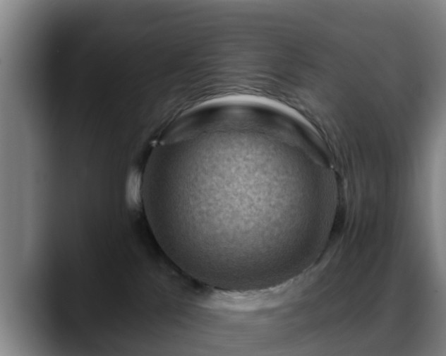 X0000088830041200706141528