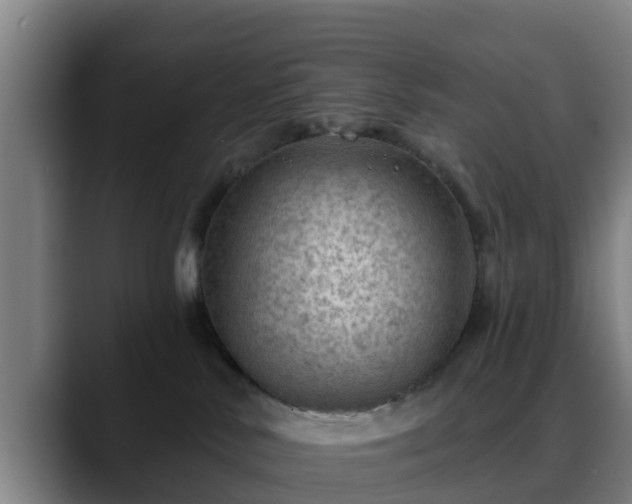 X0000088830042200706141528