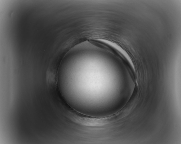 X0000088830044200706141528