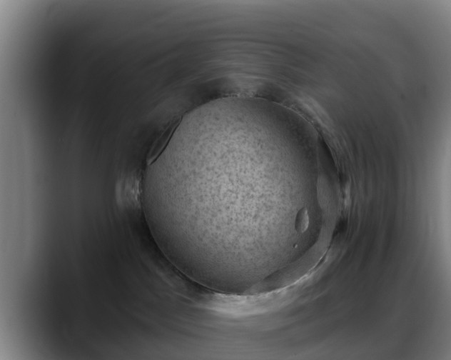 X0000088830045200706141528