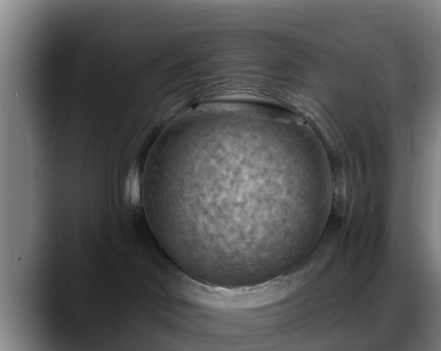 X0000088830046200706141528