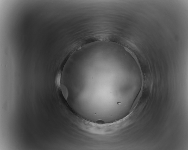 X0000088830047200706141528