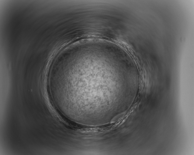 X0000088830049200706141528