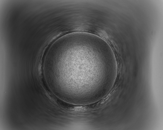 X0000088830050200706141528