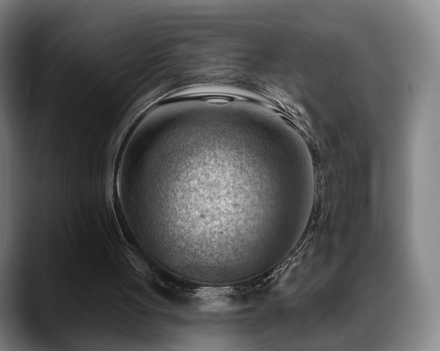 X0000088830051200706141528