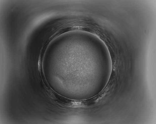 X0000088830052200706141528