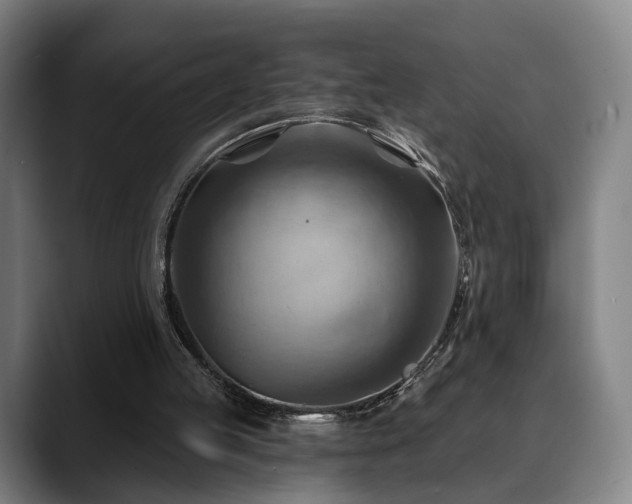 X0000088830053200706141528