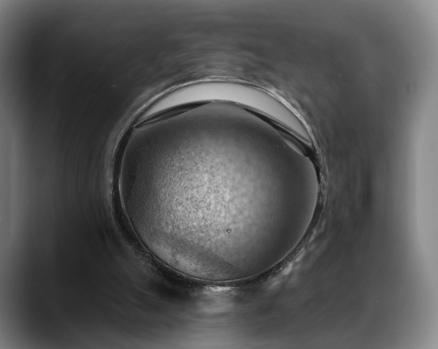 X0000088830055200706141528