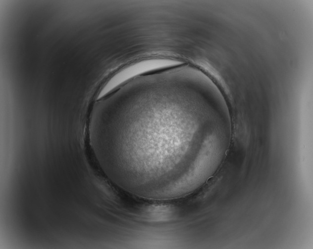 X0000088830063200706141528