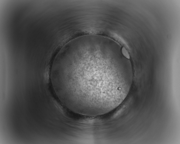 X0000088830065200706141528