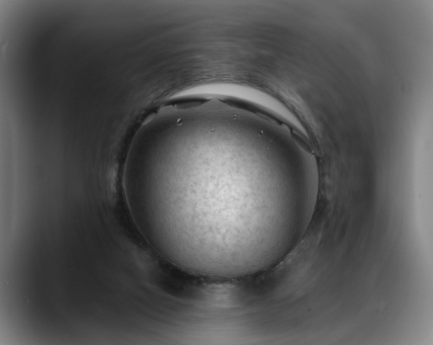 X0000088830066200706141528