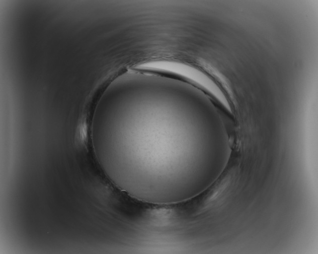 X0000088830067200706141528