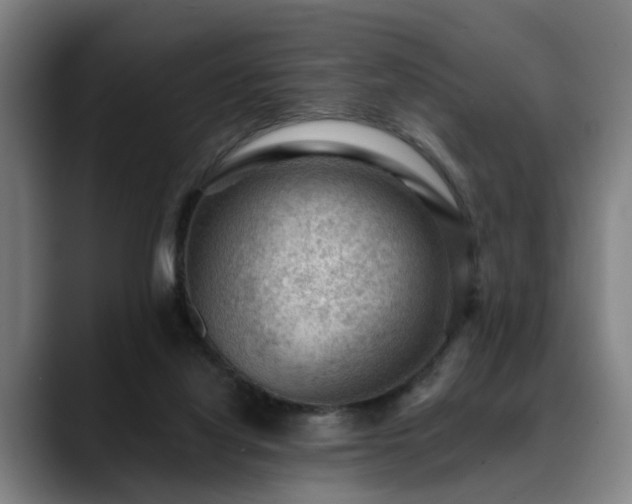 X0000088830068200706141528