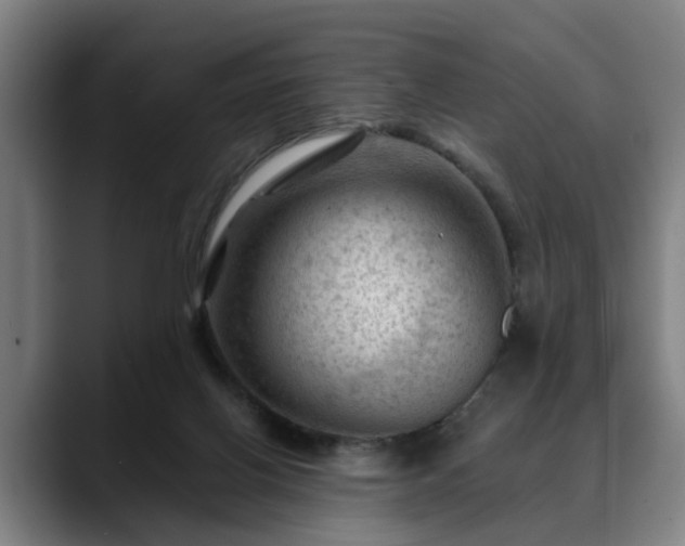 X0000088830070200706141528