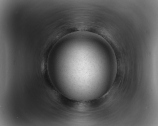 X0000088830074200706141528