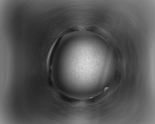 X0000088830075200706141528