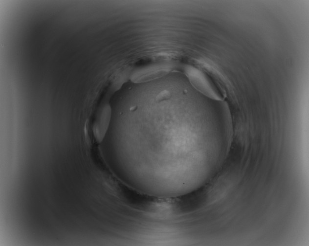 X0000088830076200706141528