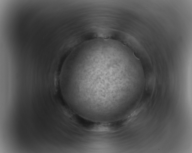 X0000088830078200706141528