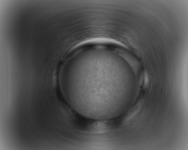 X0000088830080200706141528