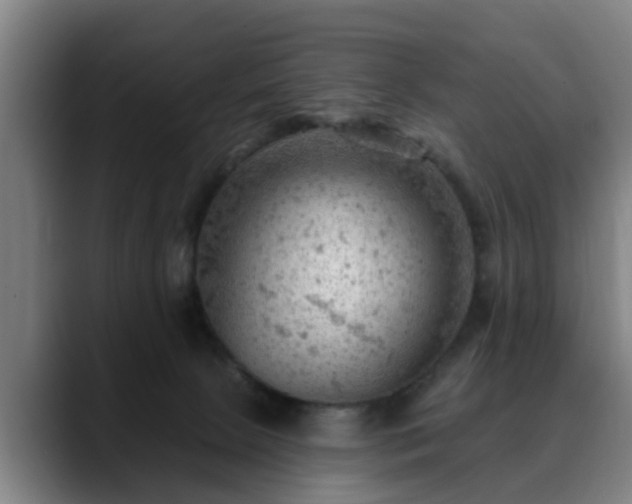 X0000088830081200706141528