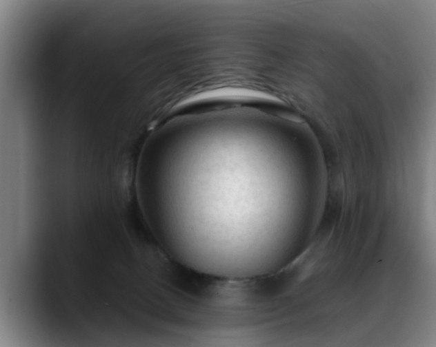 X0000088830082200706141528