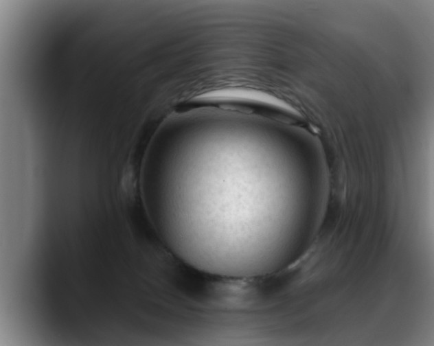 X0000088830086200706141528