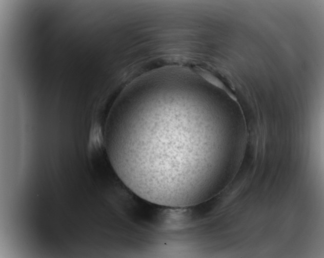 X0000088830089200706141528