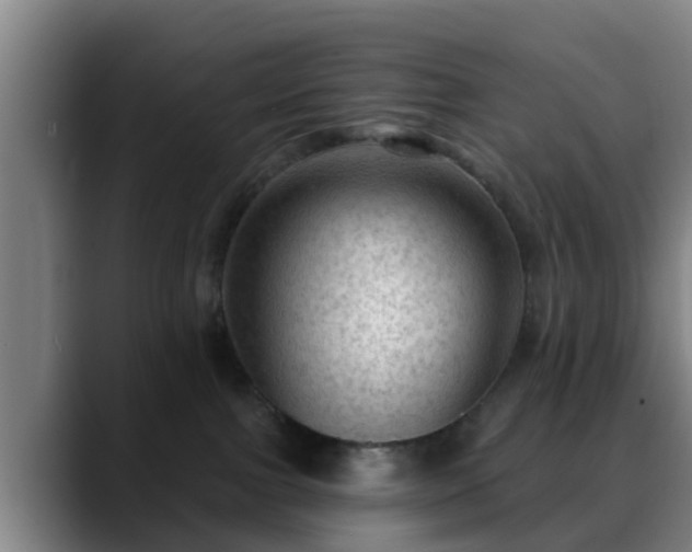 X0000088830091200706141528