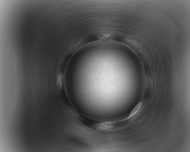 X0000088830094200706141528